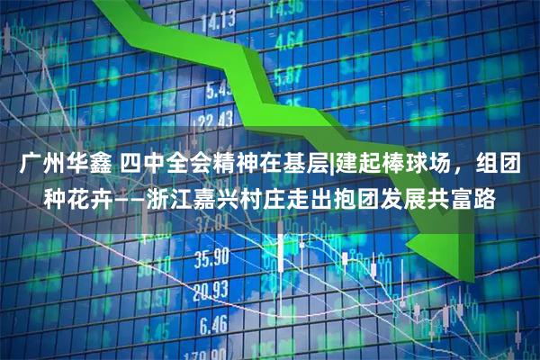 广州华鑫 四中全会精神在基层|建起棒球场，组团种花卉——浙江嘉兴村庄走出抱团发展共富路