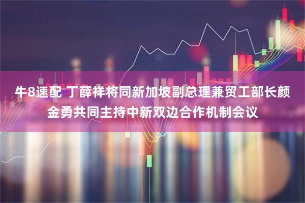 牛8速配 丁薛祥将同新加坡副总理兼贸工部长颜金勇共同主持中新双边合作机制会议