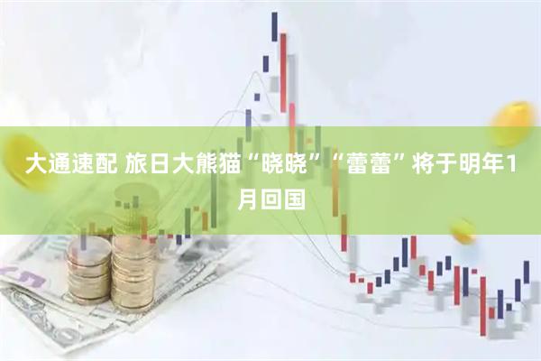 大通速配 旅日大熊猫“晓晓”“蕾蕾”将于明年1月回国