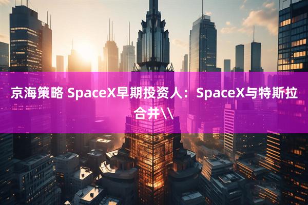 京海策略 SpaceX早期投资人：SpaceX与特斯拉合并\